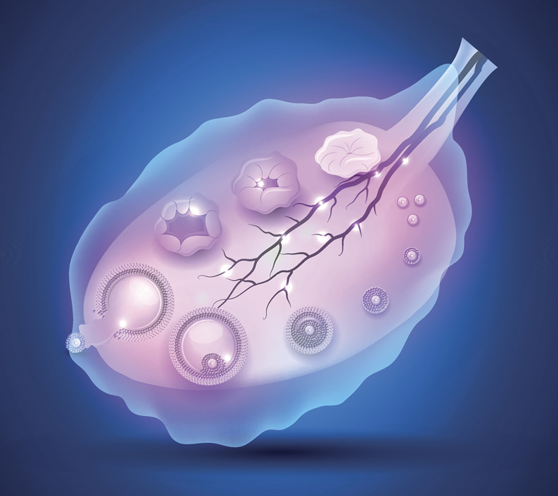 输卵管堵塞后做试管婴儿还能怀上宝宝吗？